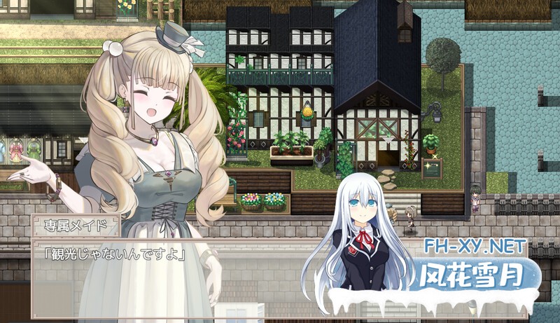 [探索RPG]大小姐与杂货店老板 V1.0 内置AI汉化[PC+安卓双端/700MB]-9.jpg