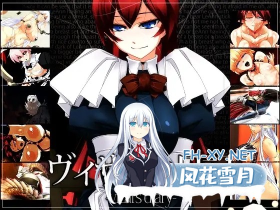 [ADV/精翻汉化/精灵/幻想/2D/巨乳][RJ056683/雨傘日傘事務所社团]薇莎露的日记/ヴィザルの日記[PC/600M]-1.jpg