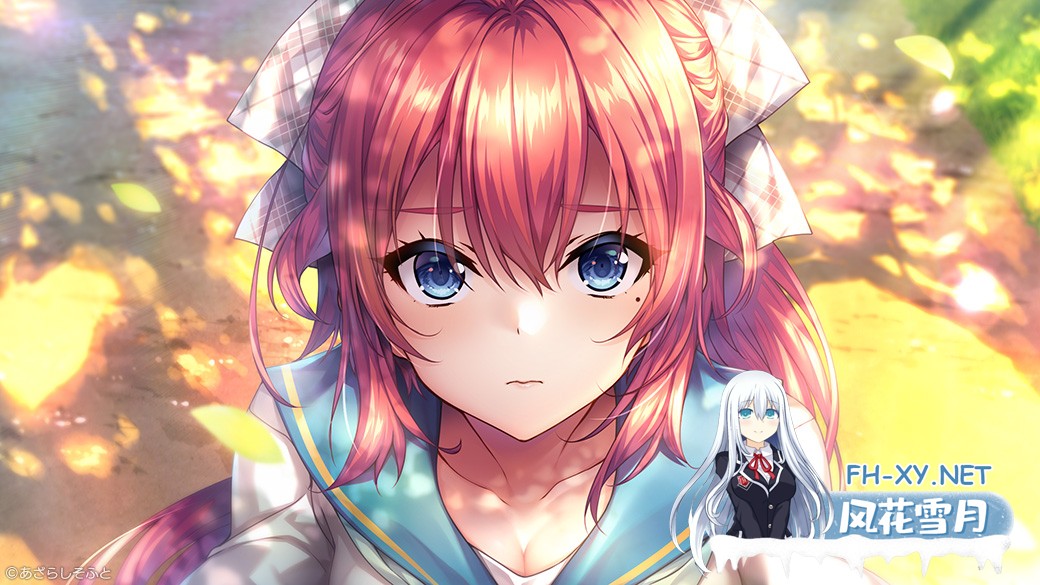 [海豹社/纯爱拔作/大型ADV]甜蜜夏日/アマナツアマナツ动态立绘 官中步兵版 + 全CG PC+安卓直装/10.5G  首页 手机游戏 正文-1.jpg