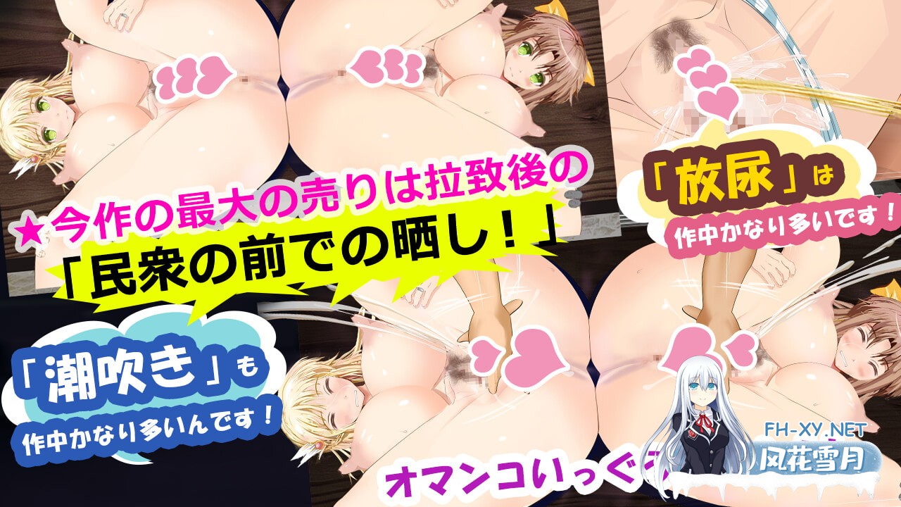 [RPG/官中]弥赛亚骑士IF ～囚禁的亚空间城～官方中文版[PC/930M]-7.jpg