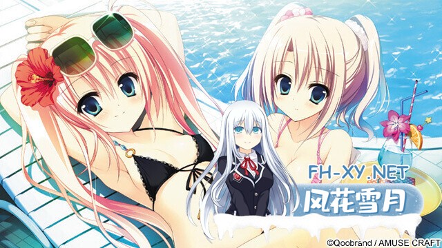 [日系ADV/精翻/恋爱/PC]魔女恋爱日记 魔女こいにっき 爱丽丝后宫协会精翻汉化步兵版+全CG存档+特典[4.69G/CV]-6.jpg