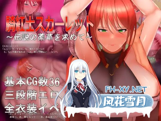 [PC][精品RPG/汉化/阿黑颜/2D]绯红骑士斯卡蕾特～追寻传说中的药草～ 騎紅士スカーレット～伝説の薬草を求めて V1.05 内嵌汉化润色版 [1194.5MB]-1.png